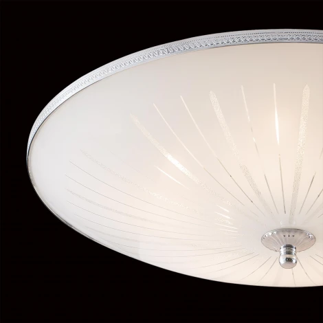 Потолочный светильник Citilux 912 CL912511