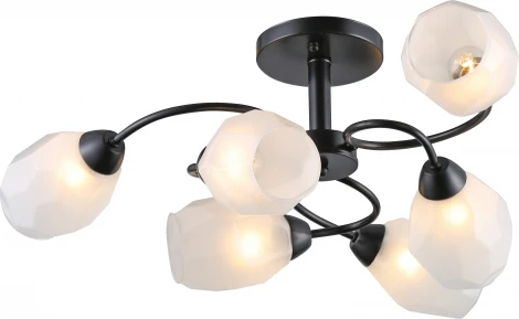 Потолочная люстра на штанге Rivoli Gloria 9089-306 (220V)