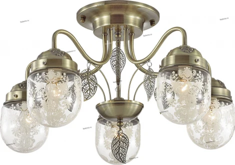 Потолочная люстра Lumion Afemi 3288/5C