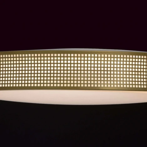 Потолочный светильник MW-Light Ривз 674015901