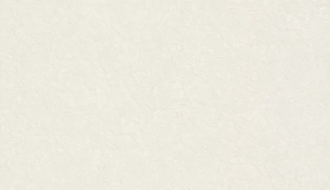 Обои виниловые Zambaiti Trussardi VI 46040 10,05 х 1,06 м