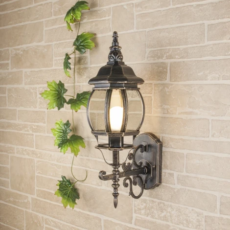 Настенный фонарь уличный Elektrostandard Farola GL 1011U черное золото