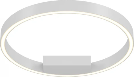 Потолочный светильник круглый светодиодный Rim MOD058CL-L25WK Maytoni (220V, кольцо)