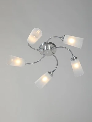 Потолочная люстра Vitaluce V2831-9/5PL