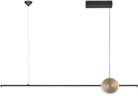 Подвесной светильник Odeon Light Stilo 6601/30L (LED, 220V, на тросе)