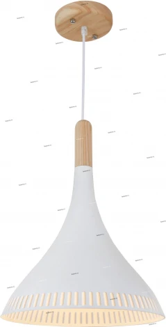 Подвесной светильник ST Luce Agilita SL710.503.01