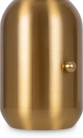 Настольная лампа Freya Cherie FR5287TL-01BS (220V, выключатель, шар)