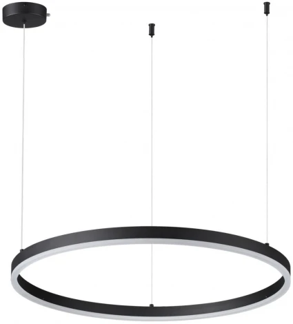 Подвесной светильник Lumion Echo 6530/50L черный LED 50W 3000-6000K 1966Лм 220V (на тросе)