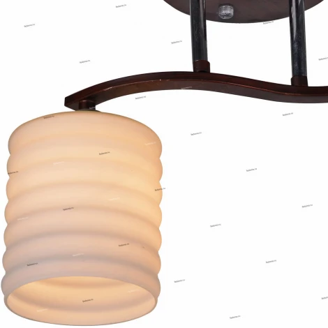 Потолочная люстра IDLamp Gemma 878/2PF-Darkcopper