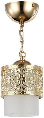 Подвесной светильник Freya Teofilo FR2200-PL-01-G