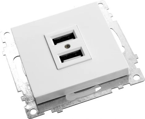 Розетка с USBх2 (белый) Stekker Катрин 39686