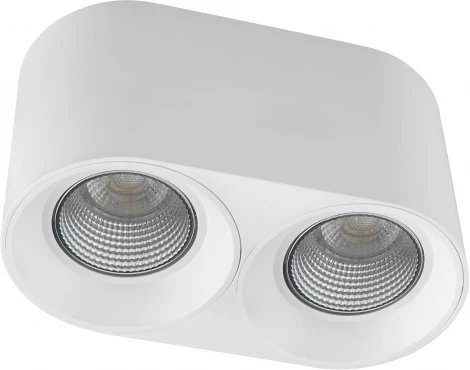 Накладной точечный светильник Denkirs DK3040 DK3096-WH+CH