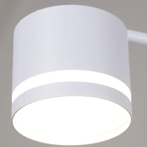 Потолочная люстра на штанге Reluce 89730-0.3-12 GX53 WT