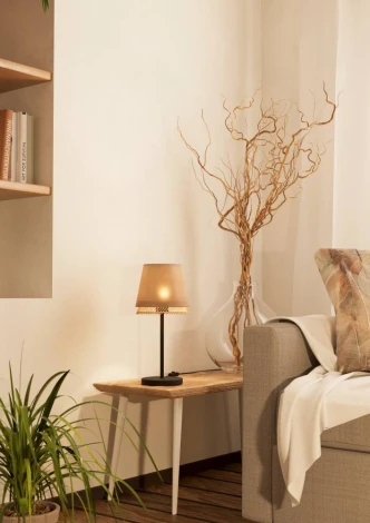 Интерьерная настольная лампа Eglo TABLEY 43977 (220V, выключатель)