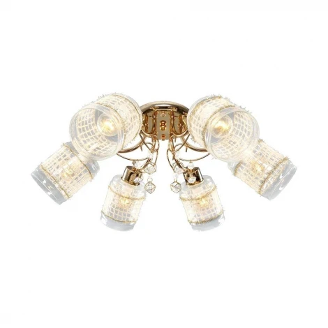 Потолочная люстра Максисвет 8880 1-8880-6-FG E14