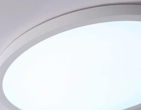 Потолочный светильник круглый светодиодный Ambrella ORBITAL FZ1955 (220V, круглые, IP54)