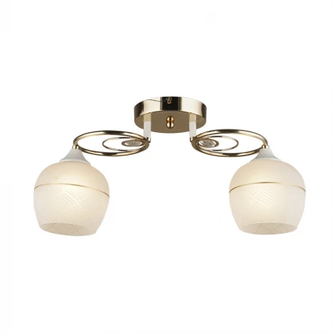 Потолочная люстра Wedo Light Idro 66203.01.10.02