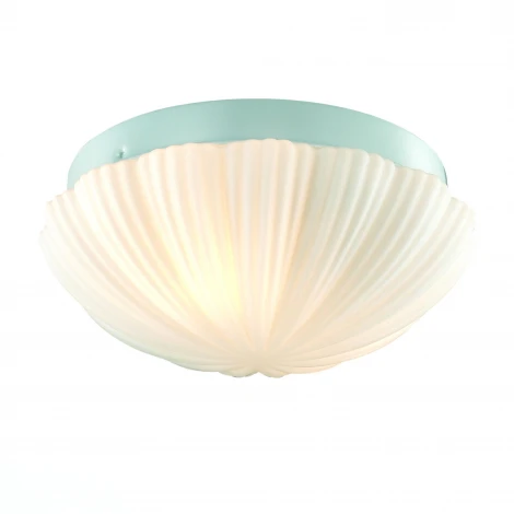 Потолочный светильник ST Luce Bagno SL495.502.02