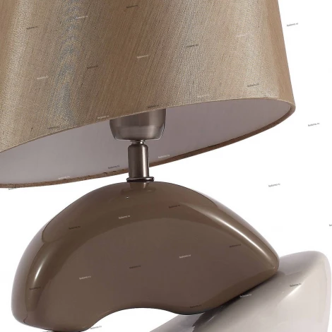 Интерьерная настольная лампа ST Luce Tabella SL989.804.01
