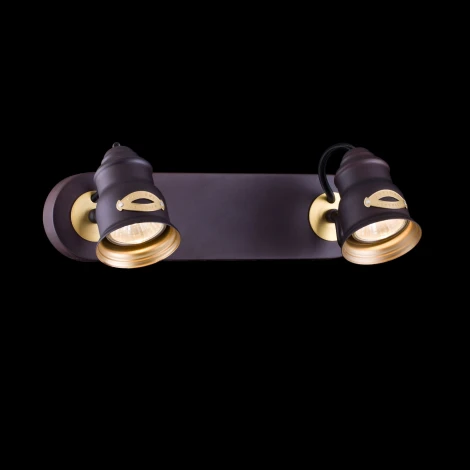 Спот Maytoni Borgo SP315-CW-02-BR