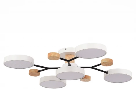 Потолочная люстра на штанге Evoluce Faema SLE6006-502-05