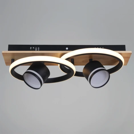 Потолочная люстра с пультом с регулировкой цветовой температуры, яркости и ночным режимом Reluce 29560-0.3-2+2 BK+WOOD