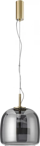 Подвесной светильник Favourite Reflex 4234-1P (LED, 220V, на тросе)