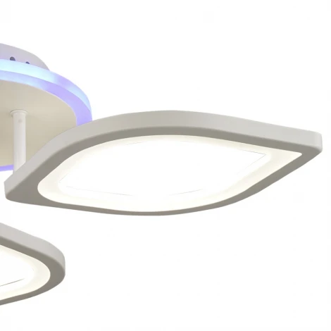 Потолочная люстра Wedo Light Tanis 75226.01.09.03