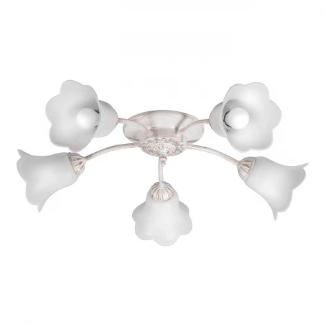 Потолочная люстра Day&Night S9153-5