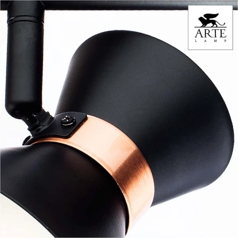 Спот на штанге Arte Lamp Baltimore A1406AP-2BK (220V, круглые)