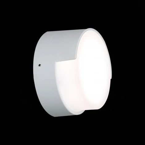 Настенный светильник уличный ST Luce Linata SL090.511.01