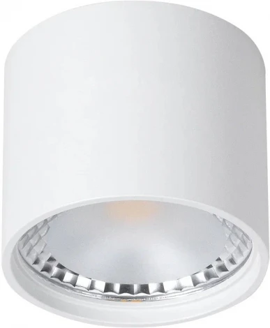 Потолочный накладной светильник светодиодный Wertmark WTA WTA.O02.007.V0.07 (220V, круглые, IP54)