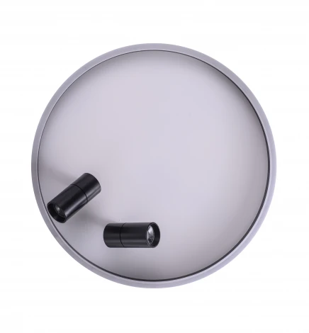 Потолочный светильник круглый со спотами Zortes Raizy ZRS.1888.01 (LED, 220V, круглые)