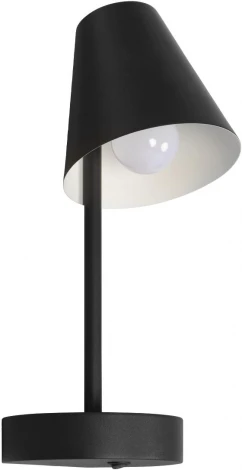 Настенные светильники Loft It Shelf 10216/1W Black (220V, выключатель)