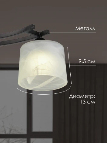 Потолочная люстра на штанге Мелодия Света 000061923