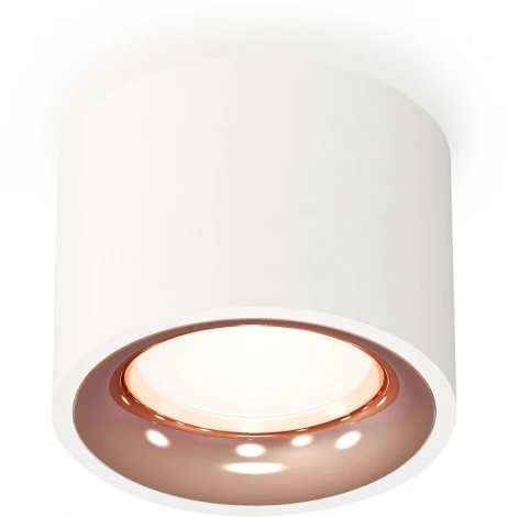 Накладной точечный светильник Ambrella Techno Spot XS7510025 (220V, круглые)