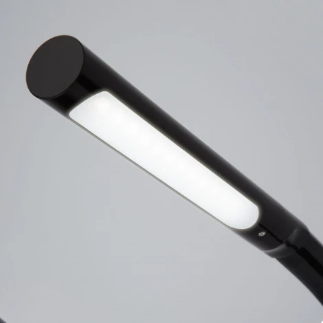 Офисная настольная лампа Elektrostandard Arch 80501/1