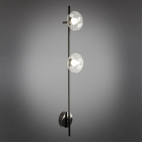 Настенный светильник Aployt Tereze APL.074.11.02