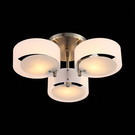 Потолочная люстра ST Luce Foresta SL483.352.03