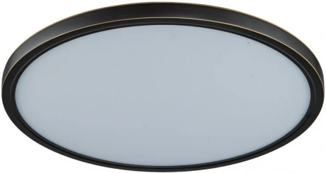 Потолочный светильник круглый Belfast Glenmore 8088-4H BL (LED, 220V, круглые)