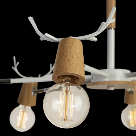 Потолочная люстра на штанге Loft IT Sven 10024/6 White (220V, рога)