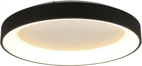 Потолочный светильник круглый Mantra Niseko 8580 (регулировка яркости, LED, 220V, пульт управления, круглые)