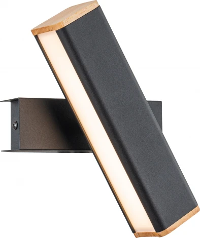 Настенный светильник Arte Lamp A2017AP-8BK