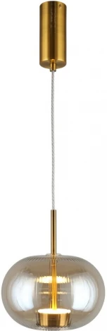 Подвесной светильник Aployt Ambr APL.057.06.12 (LED, 220V, на проводе, шар)