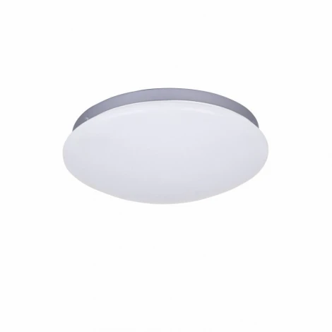 Потолочный светильник F-Promo Ledante 2467-2C