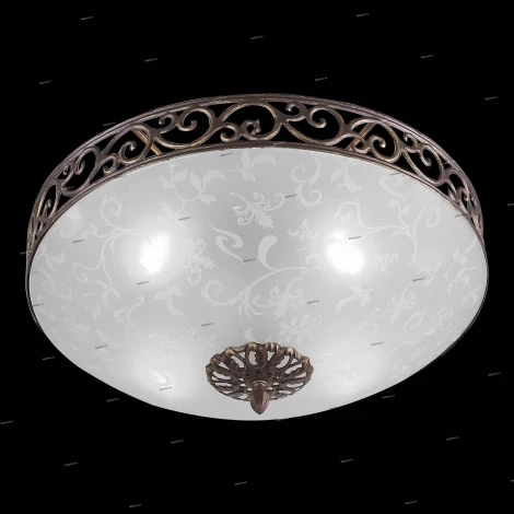 Потолочный светильник ST Luce Mezzo SL244.202.04