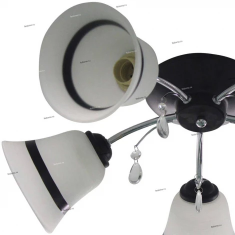 Потолочная люстра J-Light Lena 1513/5C