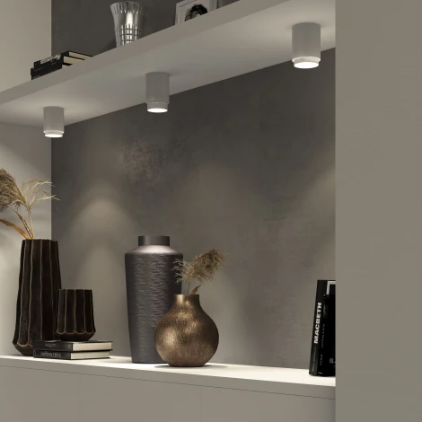 Накладной светильник 10W белый Elektrostandard Cors 25032/LED (220V, круглые)