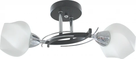 Потолочная люстра Toplight Lia TL7380X-02BC