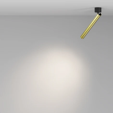 Спот Maytoni Focus T C141CL-L300-6W4K-BBS (LED, 220V, круглые)